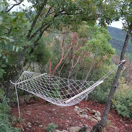 Kervan Dag Evi Chalet *
